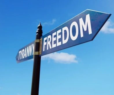 Activist Website - Images (1)