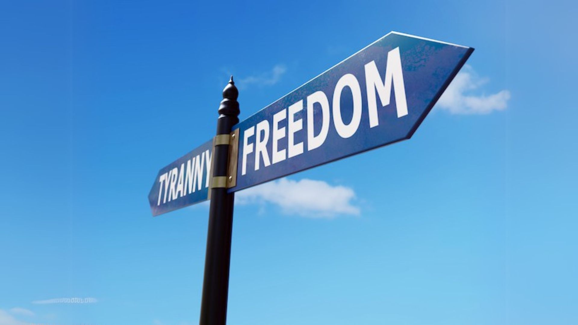 Activist Website - Images (1)