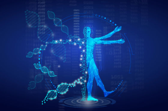 Screenshot 2025-05-16 131952 Screenshot 2025-05-16 131952