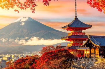 Shutterstock_2555905833-1536x900
