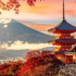 Shutterstock_2555905833-1536x900