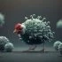 birdflu2