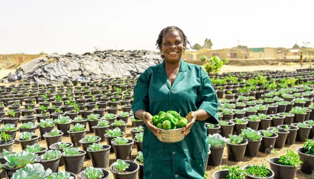 burkina-faso-vegetable-farming