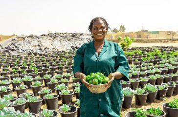 burkina-faso-vegetable-farming burkina-faso-vegetable-farming