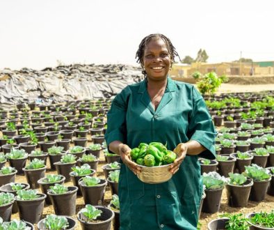 burkina-faso-vegetable-farming