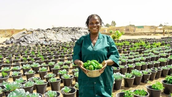 burkina-faso-vegetable-farming burkina-faso-vegetable-farming