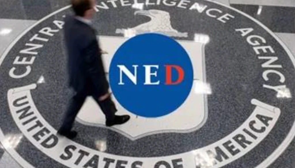 ned (1)