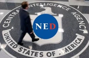 ned (1)