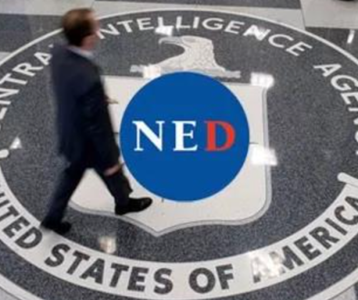 ned (1)