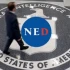 ned (1)