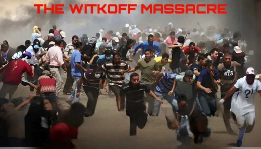 Activist Website - Images (1)