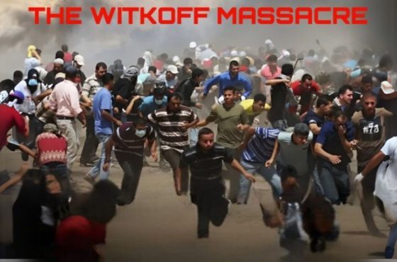 Activist Website - Images (1)