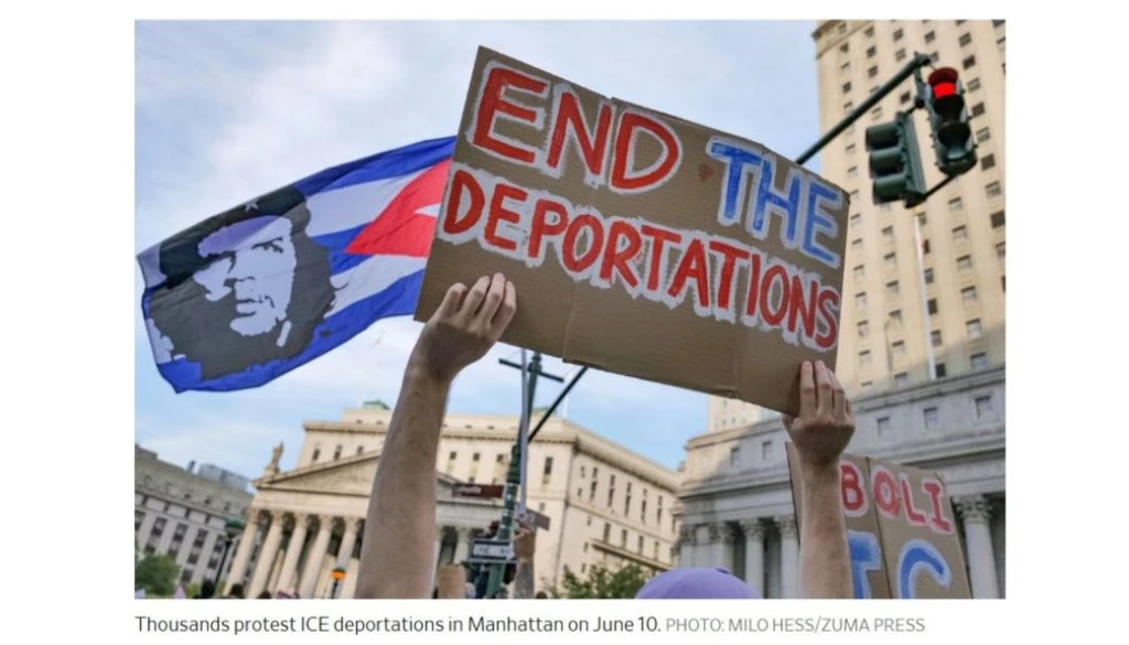 Activist Website - Images (1)