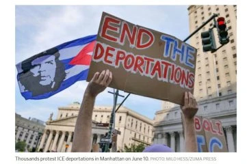 Activist Website - Images (1)