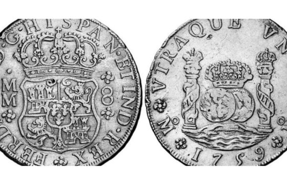 Activist Website - Images (1)