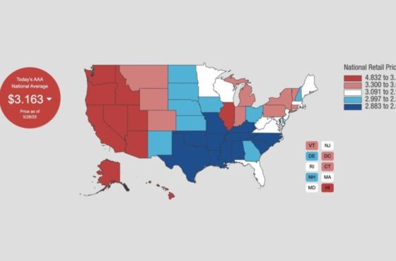 Activist Website - Images (1) Activist Website - Images (1)