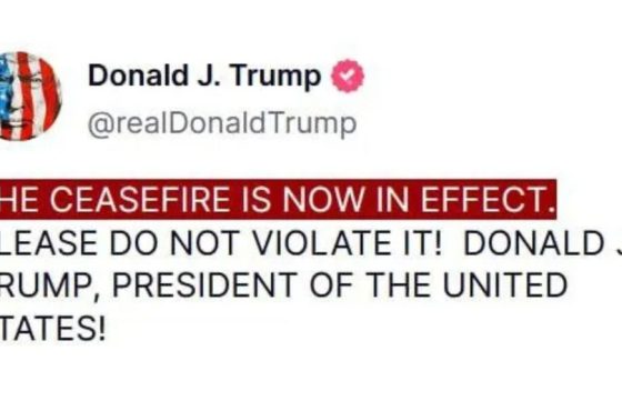 Activist Website - Images (1)