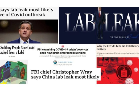 Activist Website - Images (1)