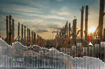 AdobeStock_494574281-scaled