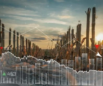 AdobeStock_494574281-scaled