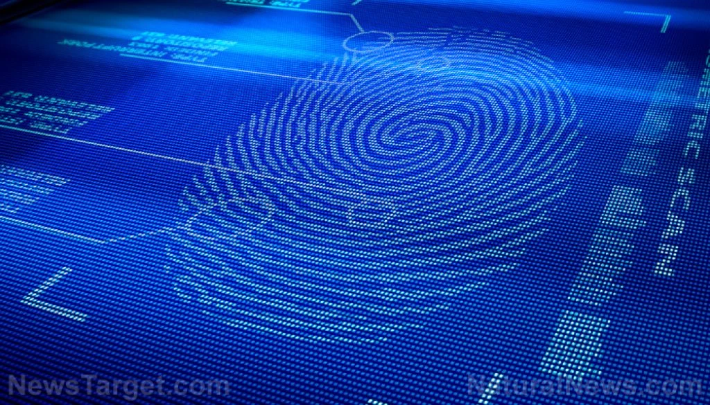 Digital-Fingerprint-Scan-Identity