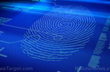 Digital-Fingerprint-Scan-Identity