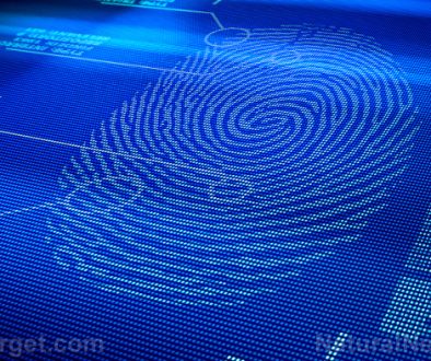 Digital-Fingerprint-Scan-Identity