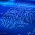 Digital-Fingerprint-Scan-Identity
