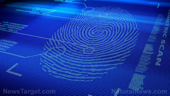 Digital-Fingerprint-Scan-Identity Digital-Fingerprint-Scan-Identity