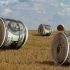 dollarbills-blackrock-vanguard