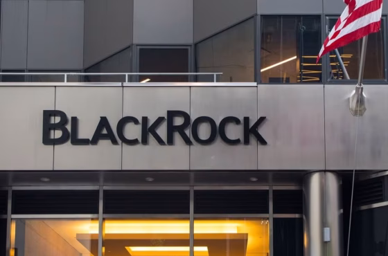 09a642b3cfff296319fb63764f3e57a4caffa4e4-1152x864 09a642b3cfff296319fb63764f3e57a4caffa4e4-1152x864