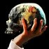 Activist Website - Images (1)