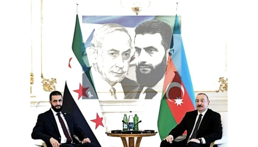 Activist Website - Images (1)