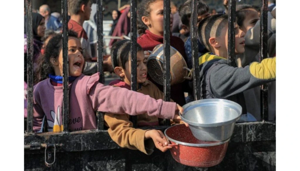 Activist Website - Images (1)