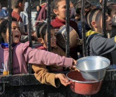 Activist Website - Images (1)