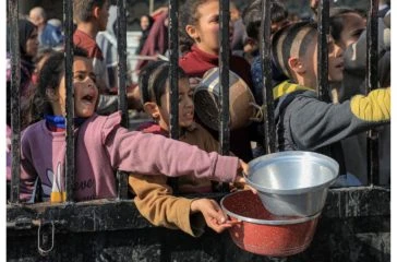Activist Website - Images (1)
