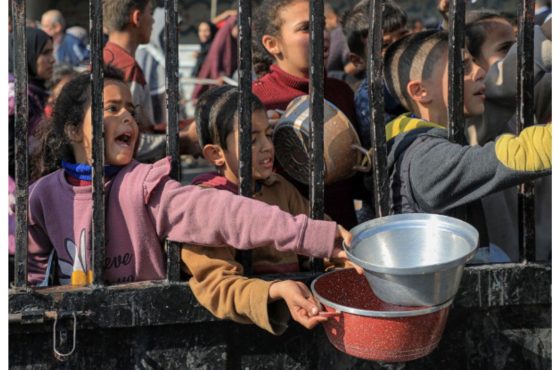 Activist Website - Images (1)