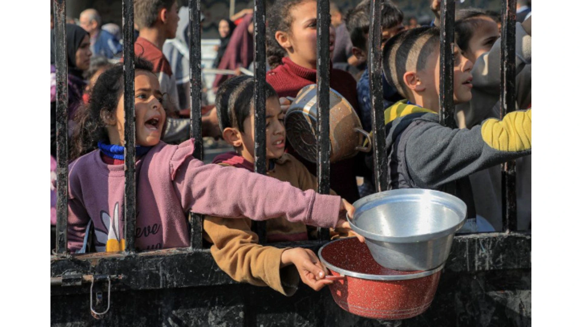 Activist Website - Images (1)