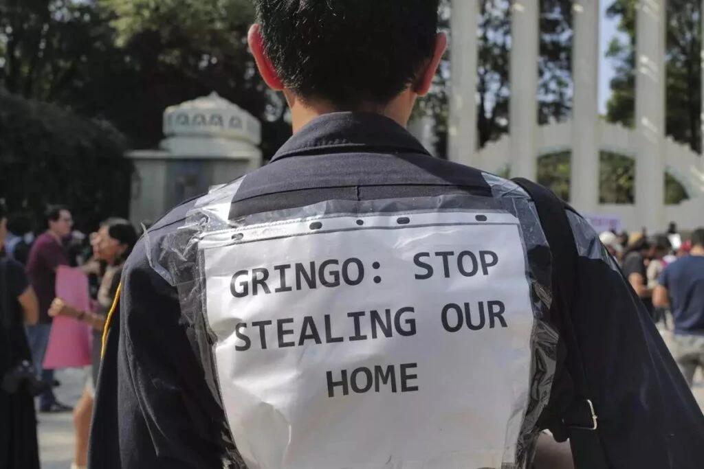 Gringo1-1024x683