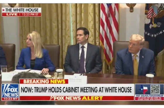 Trump-holds-cabinet-meeting