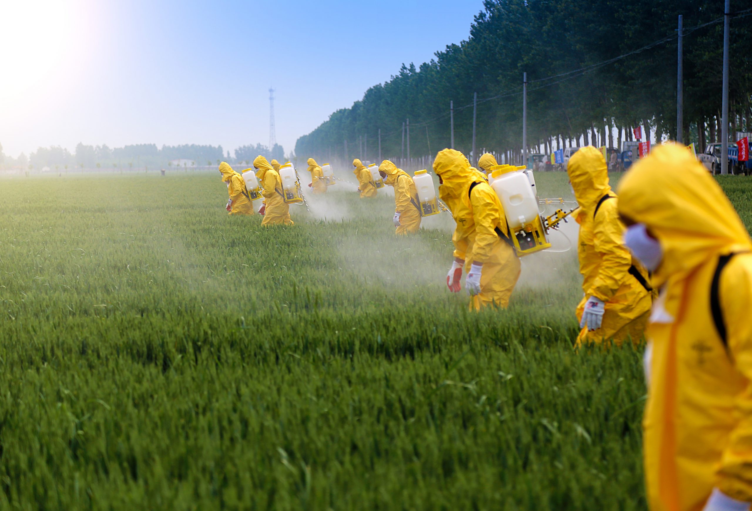 adobe-stock-farming-pesticides-scaled adobe-stock-farming-pesticides-scaled