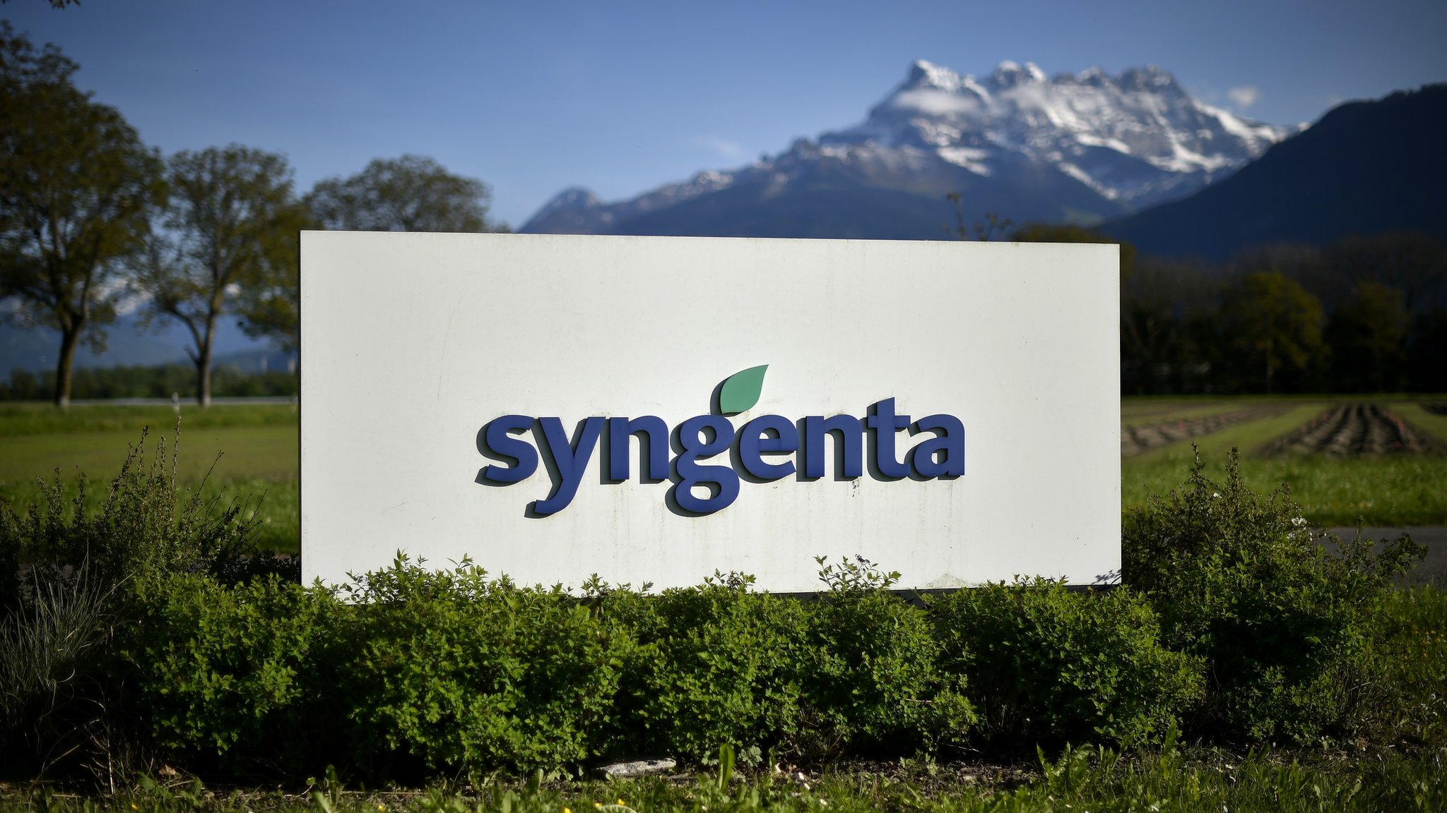 syngenta-sign