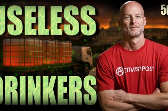 566 Thumbnail 566 Thumbnail