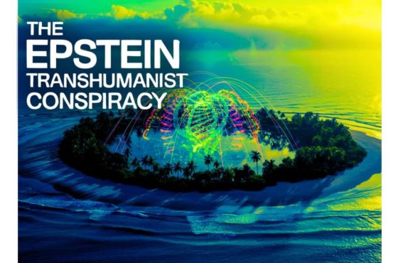 Activist Website - Images (1)