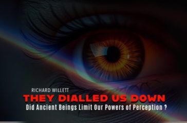 Activist Website - Images