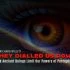 Activist Website - Images