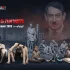 Bibi-hostages