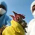 bird-flu