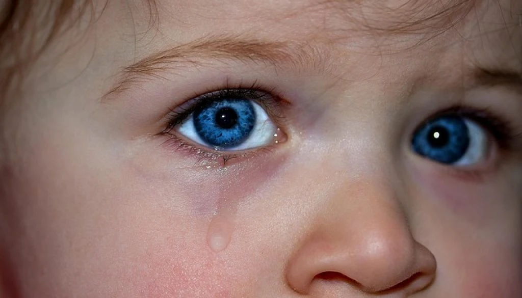 childrens-eyes-1914519_640