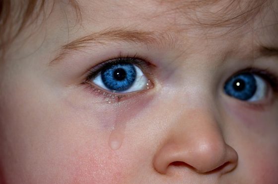 childrens-eyes-1914519_640